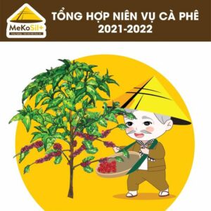 [BÁC SIÊU ĐƯA TIN] NIÊN VỤ CÀ PHÊ 2021-2022 CÓ GIÁ TRỊ XUẤT KHẨU CAO NHẤT