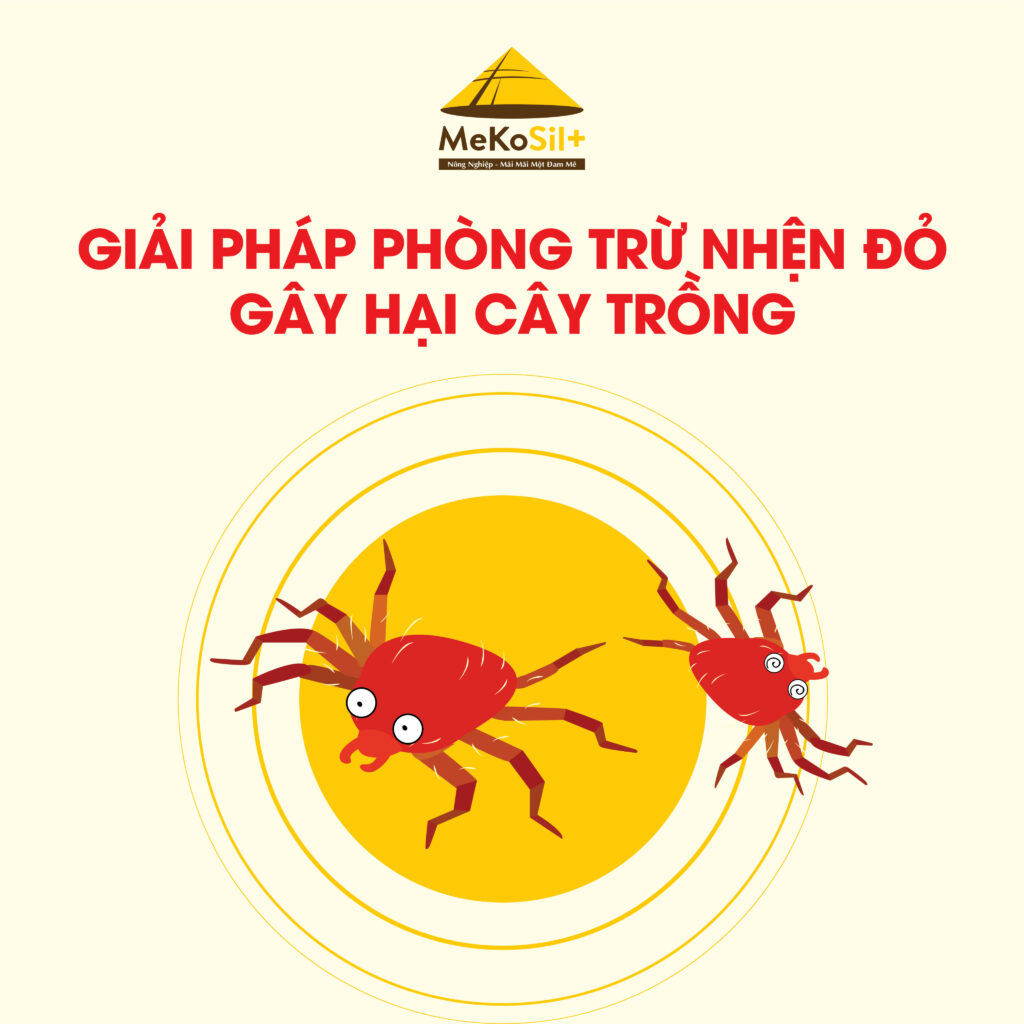 Giải pháp phòng trừ nhện đỏ trên cây trồng