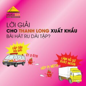 LỜI GIẢI CHO THANH LONG XUẤT KHẨU