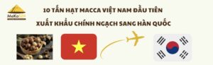 10 TẤN HẠT MACCA VIỆT NAM ĐẦU TIÊN XUẤT KHẨU CHÍNH NGẠCH SANG HÀN QUỐC 