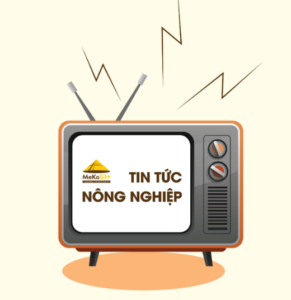 [BẢN TIN NÔNG NGHIỆP TUẦN 9] BÁC SIÊU TỔNG HỢP TIN TỨC NÔNG NGHIỆP NỔI BẬT TUẦN QUA