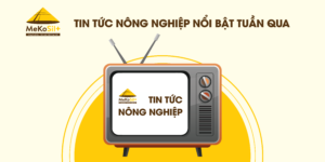 TỔNG HỢP TIN TỨC NÔNG NGHIỆP NỔI BẬT TUẦN 10/2022