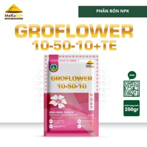 groflower 10-50-10+TE