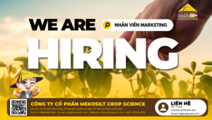 Tuyển dụng nhân viên Marketing