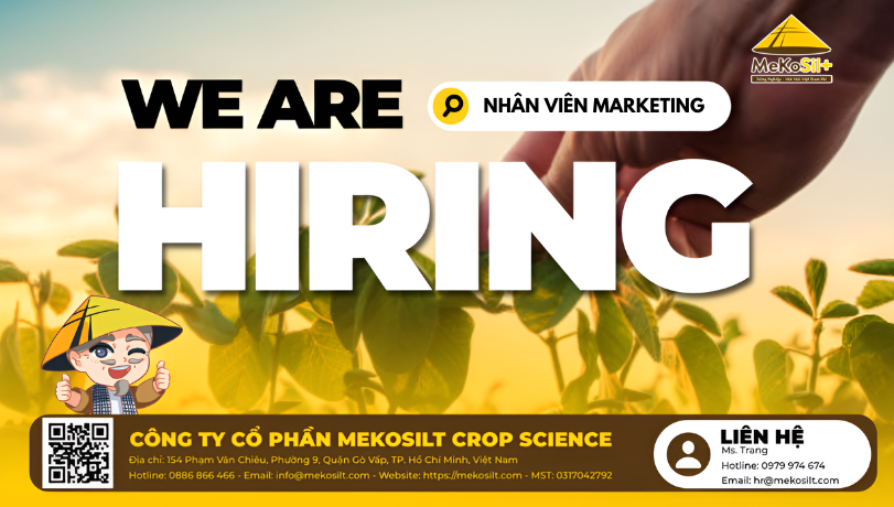 Tuyển dụng nhân viên Marketing