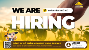 tuyển dụng nhân viên thiết kế