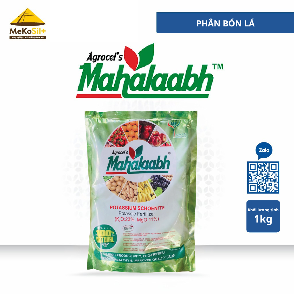 MAHALAABH