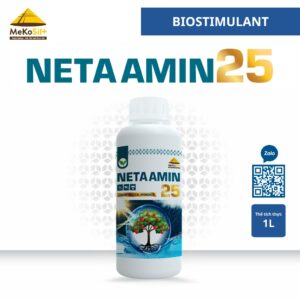 Neta Amin 25