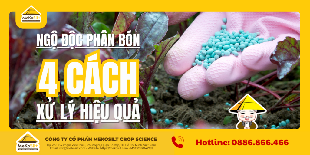 ngộ độc phân bón và cách xử lý hiệu quả