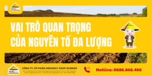Nguyên tố dinh dưỡng đa lượng cho cây trồng