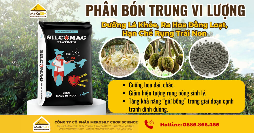 Silcamag Dưỡng Lá Khỏe, Ra Hoa Đồng Loạt, Hạn Chế Rụng Trái Non